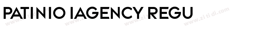 Patinio iAgency Regu字体转换